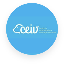 ceiv.png